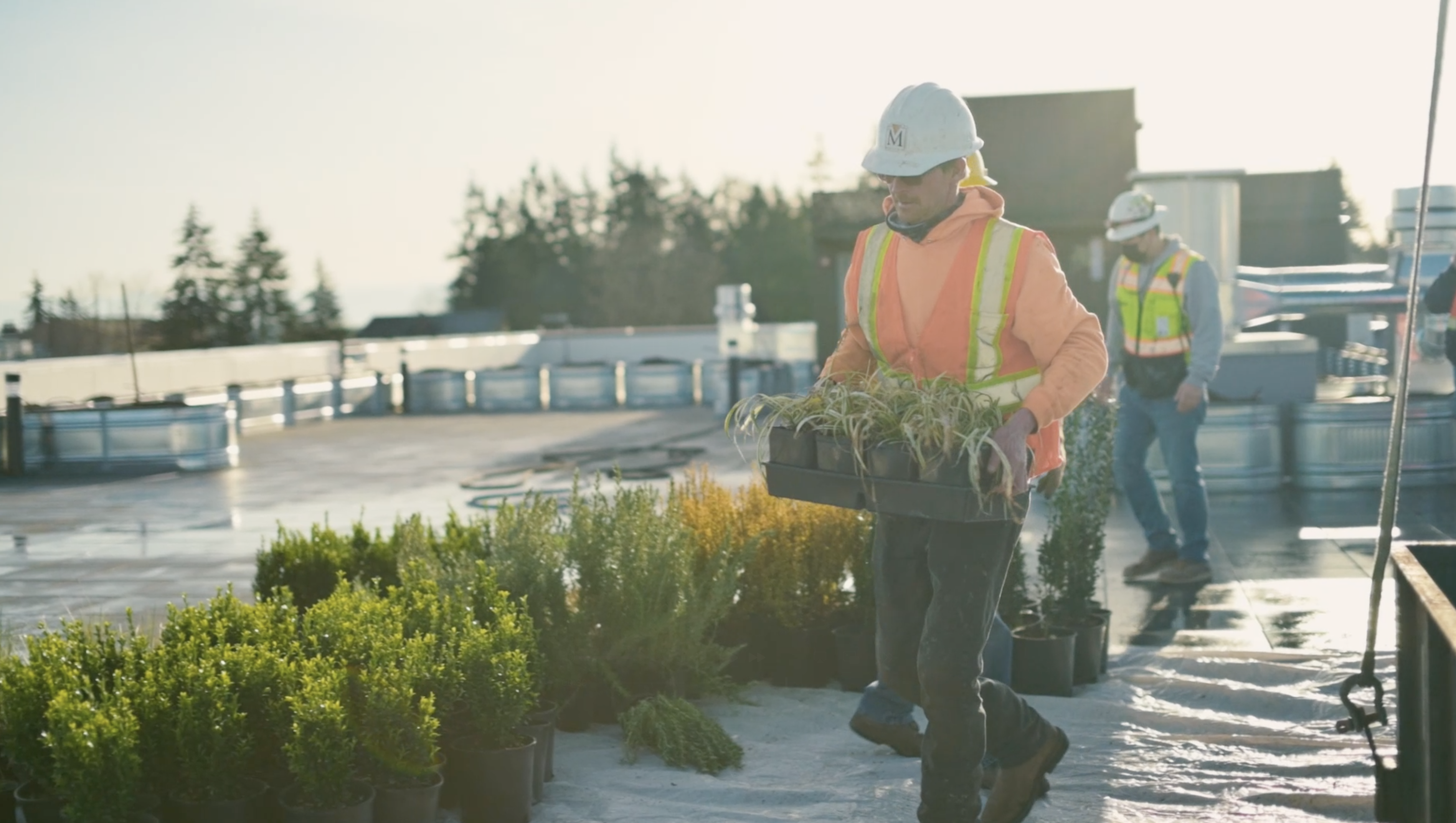 Pacific Green Landscape Maintenance